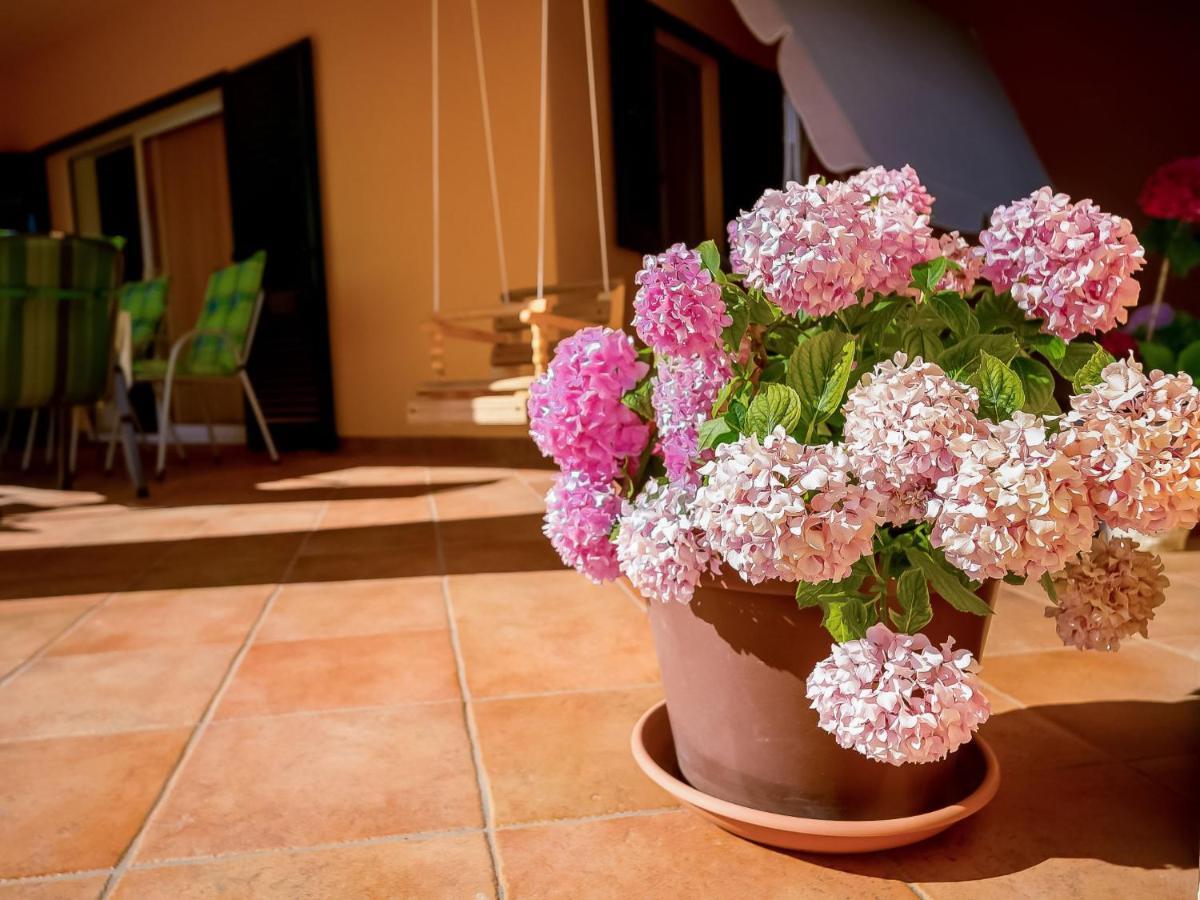 Holiday Home Mila By Interhome Kras エクステリア 写真